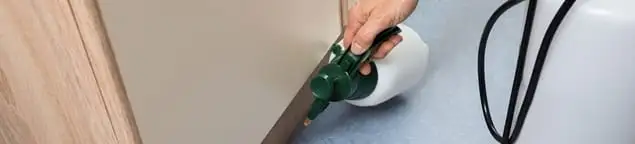 Bed bug exterminator treating baseboards and cracks with targeted spray in Atlanta, GA