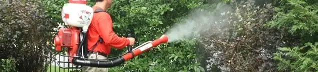 Mosquito control technician fogging shrubs and landscaping for mosquito treatment in Atlanta, GA