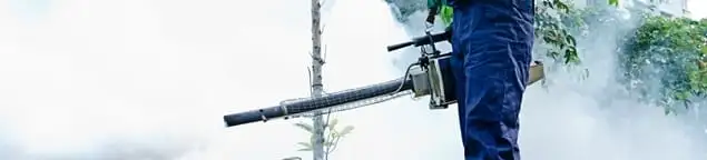 Pest control technician fogging an outdoor area for insect control in Atlanta, GA