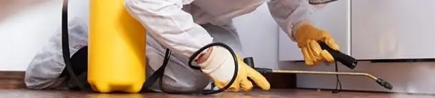 Roach exterminator treating cracks and crevices along kitchen baseboards in Atlanta, GA