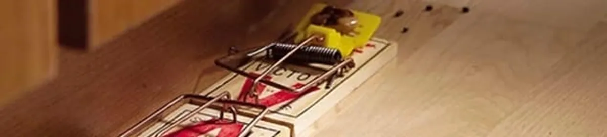 Rodent trap set indoors for rodent control and prevention in Atlanta, GA