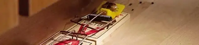 Rodent trap set indoors for rodent control and prevention in Atlanta, GA