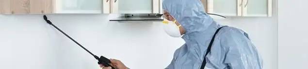 Termite treatment technician applying indoor pest control spray in Atlanta, GA